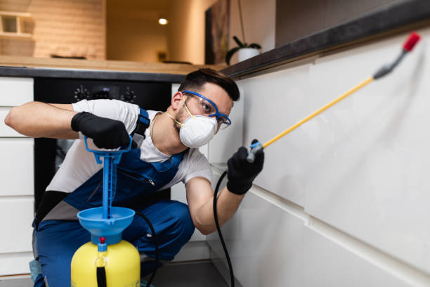 Best Rat Extermination Near Me  in North Pekin, IL