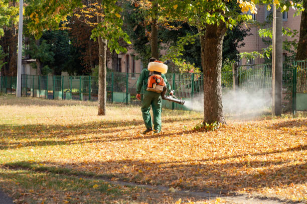 Best Flea Control Services  in North Pekin, IL