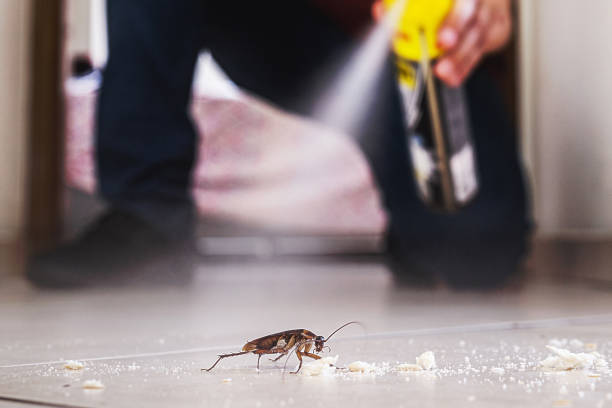  North Pekin, IL Pest Control Pros