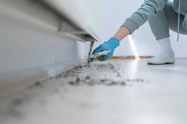 Best Commercial Pest Control Services  in North Pekin, IL